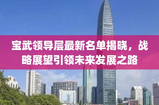 宝武领导层最新名单揭晓，战略展望引领未来发展之路