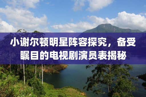 小谢尔顿明星阵容探究，备受瞩目的电视剧演员表揭秘