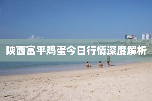 陕西富平鸡蛋今日行情深度解析
