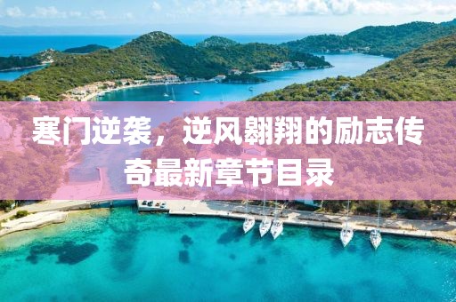 寒门逆袭，逆风翱翔的励志传奇最新章节目录
