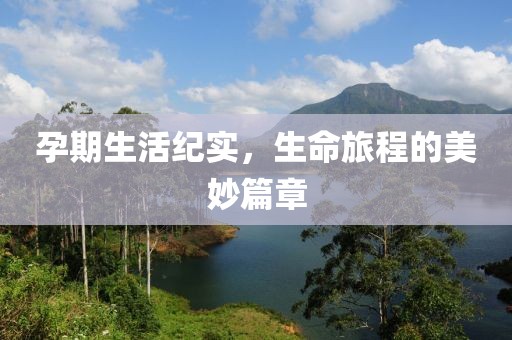 孕期生活纪实，生命旅程的美妙篇章