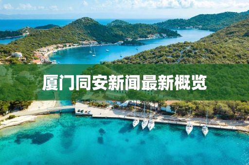 厦门同安新闻最新概览