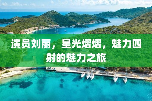演员刘丽，星光熠熠，魅力四射的魅力之旅