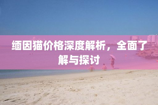 缅因猫价格深度解析，全面了解与探讨