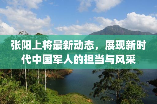 张阳上将最新动态，展现新时代中国军人的担当与风采