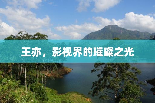 王亦，影视界的璀璨之光