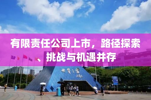 有限责任公司上市，路径探索、挑战与机遇并存