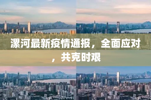 漯河最新疫情通报，全面应对，共克时艰