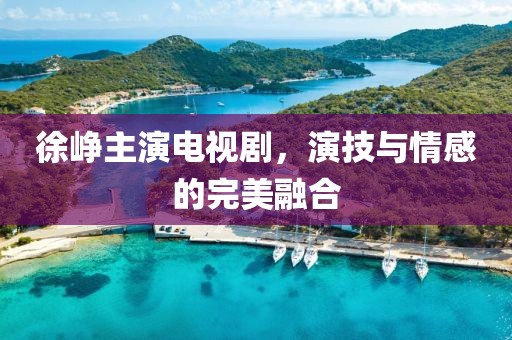 徐峥主演电视剧，演技与情感的完美融合