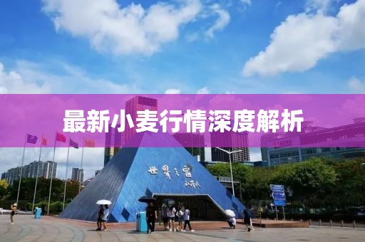 2025年4月 第7页