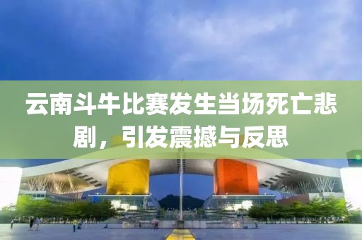 云南斗牛比赛发生当场死亡悲剧，引发震撼与反思