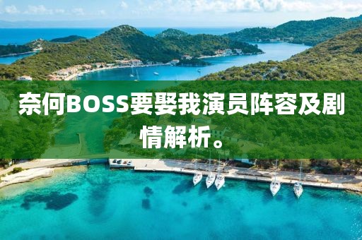 奈何BOSS要娶我演员阵容及剧情解析。