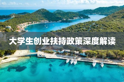 大学生创业扶持政策深度解读