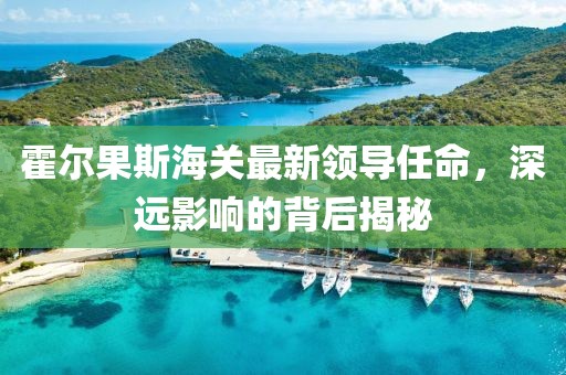 霍尔果斯海关最新领导任命，深远影响的背后揭秘