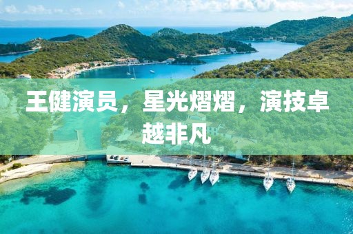 王健演员，星光熠熠，演技卓越非凡