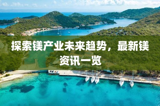 探索镁产业未来趋势，最新镁资讯一览