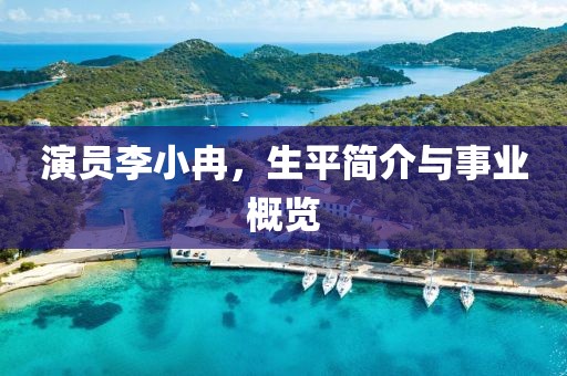 演员李小冉，生平简介与事业概览