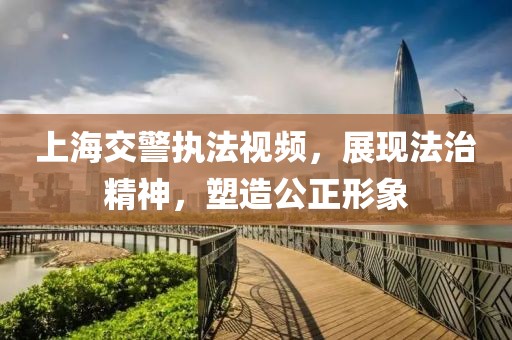上海交警执法视频，展现法治精神，塑造公正形象