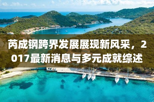芮成钢跨界发展展现新风采，2017最新消息与多元成就综述