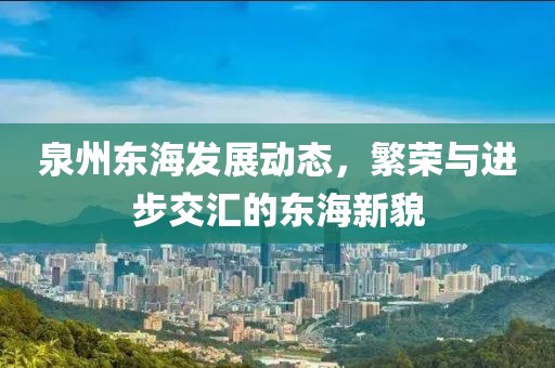 泉州东海发展动态，繁荣与进步交汇的东海新貌