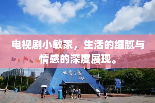电视剧小敏家，生活的细腻与情感的深度展现。