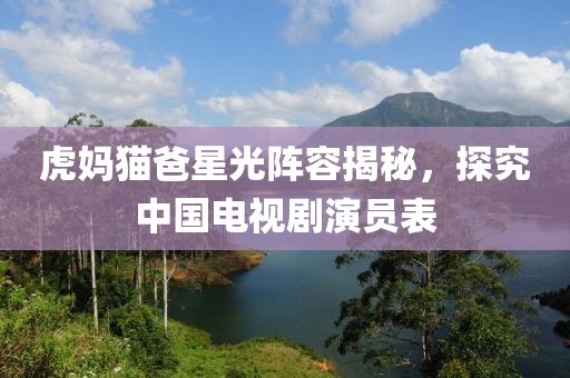 虎妈猫爸星光阵容揭秘，探究中国电视剧演员表