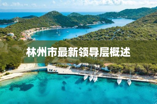 林州市最新领导层概述