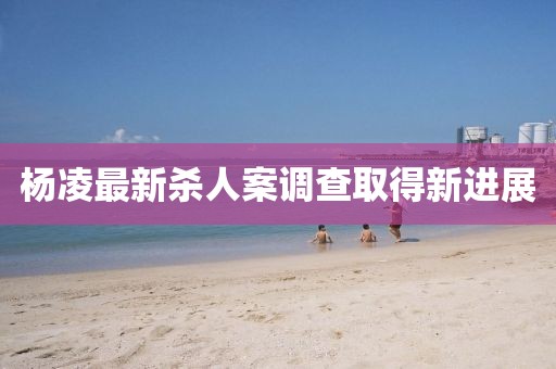 杨凌最新杀人案调查取得新进展