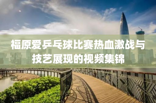 福原爱乒乓球比赛热血激战与技艺展现的视频集锦