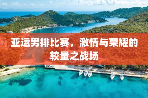 亚运男排比赛，激情与荣耀的较量之战场