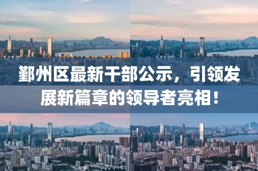 鄞州区最新干部公示，引领发展新篇章的领导者亮相！