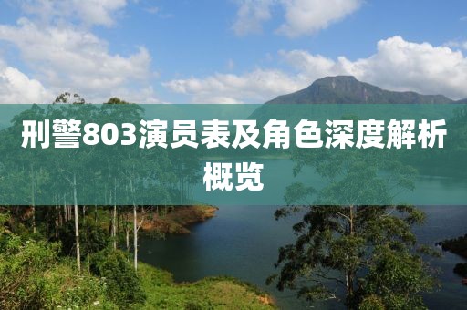 刑警803演员表及角色深度解析概览