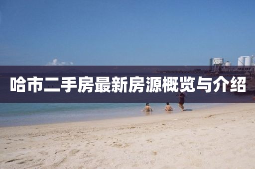 哈市二手房最新房源概览与介绍
