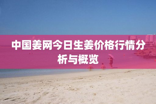 中国姜网今日生姜价格行情分析与概览