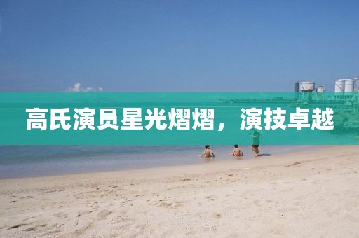 高氏演员星光熠熠，演技卓越