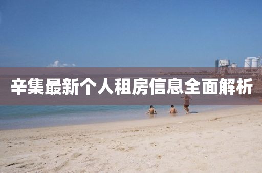 辛集最新个人租房信息全面解析