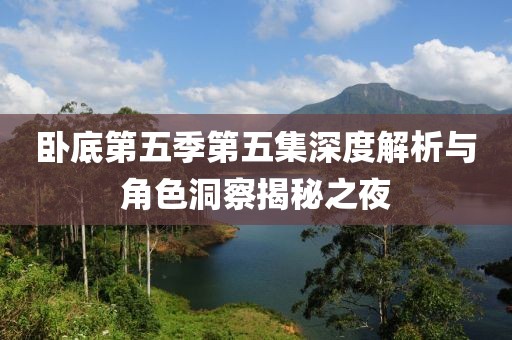 卧底第五季第五集深度解析与角色洞察揭秘之夜