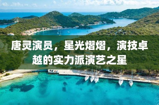 唐灵演员，星光熠熠，演技卓越的实力派演艺之星