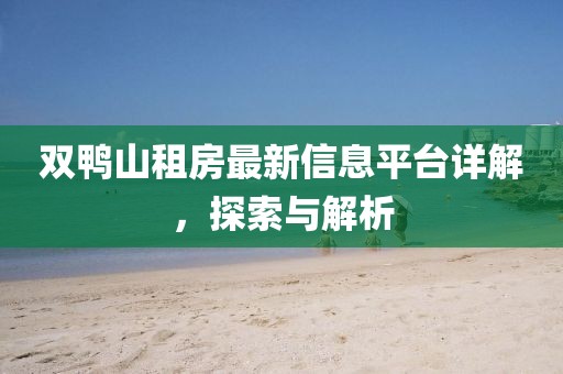 双鸭山租房最新信息平台详解，探索与解析