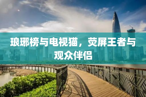 琅琊榜与电视猫，荧屏王者与观众伴侣