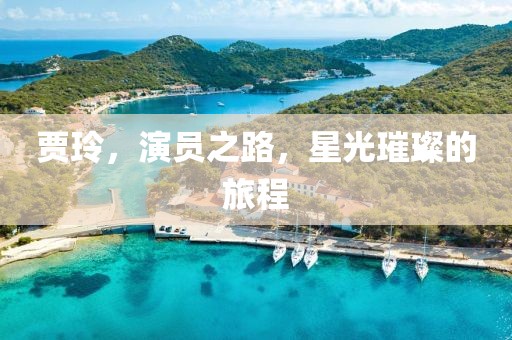 贾玲，演员之路，星光璀璨的旅程