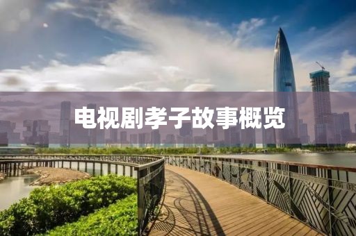 电视剧孝子故事概览
