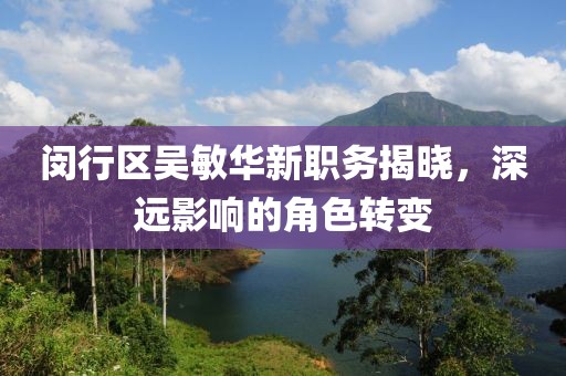 闵行区吴敏华新职务揭晓，深远影响的角色转变