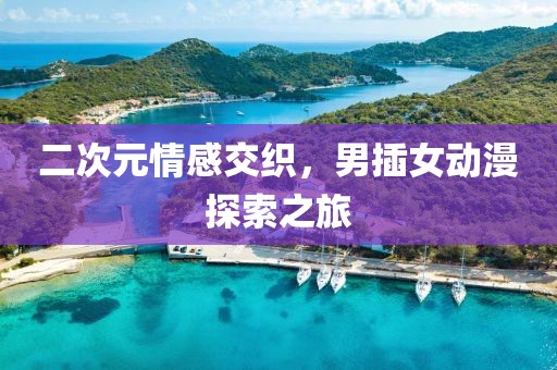 二次元情感交织，男插女动漫探索之旅