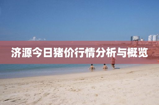 济源今日猪价行情分析与概览