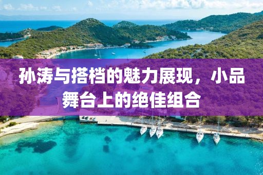 孙涛与搭档的魅力展现，小品舞台上的绝佳组合