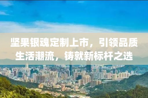 坚果银魂定制上市，引领品质生活潮流，铸就新标杆之选
