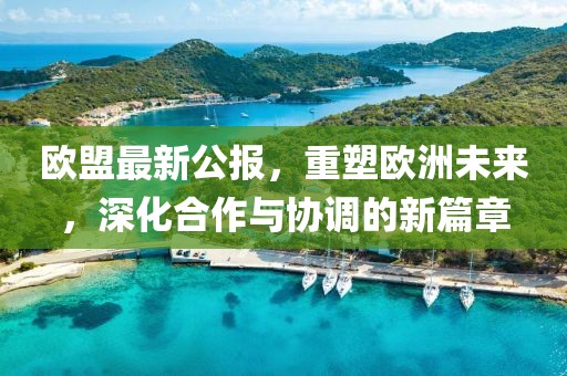 欧盟最新公报，重塑欧洲未来，深化合作与协调的新篇章