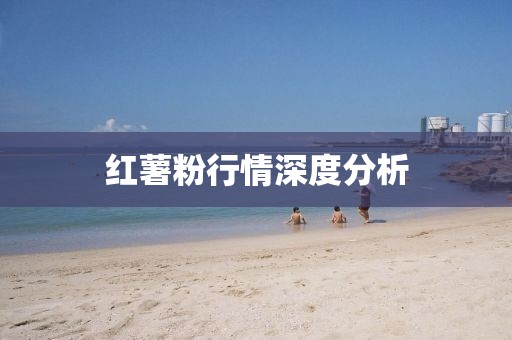 红薯粉行情深度分析