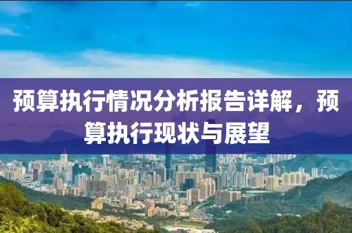 预算执行情况分析报告详解，预算执行现状与展望